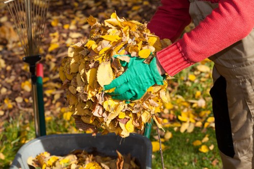 Seasonal garden maintenance tips